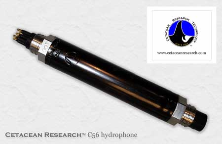 Cetacean Research™ C56 Hydrophone